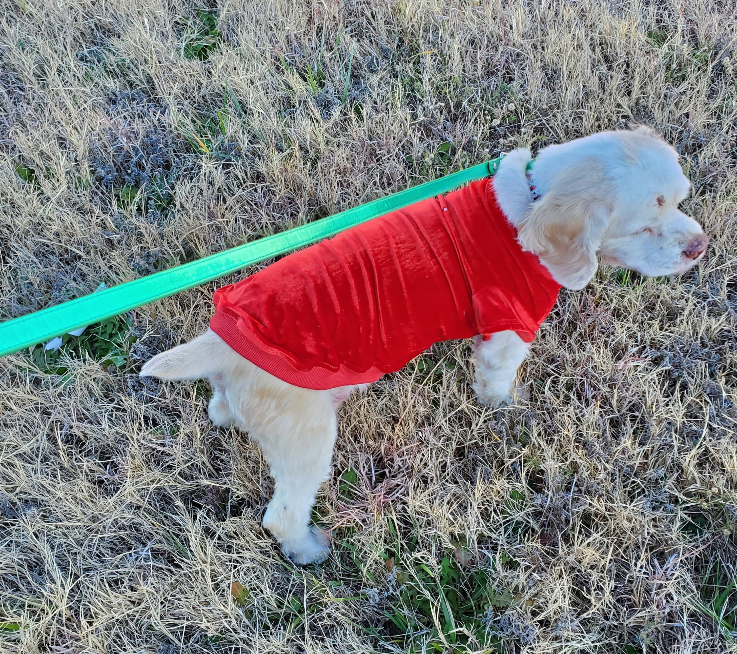 Red Velvet Jumper